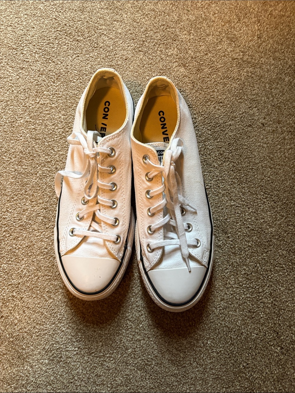Converse White Low Top Canvas Sneakers